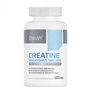 OstroVit CREATINE 3000 mg 120 tabs