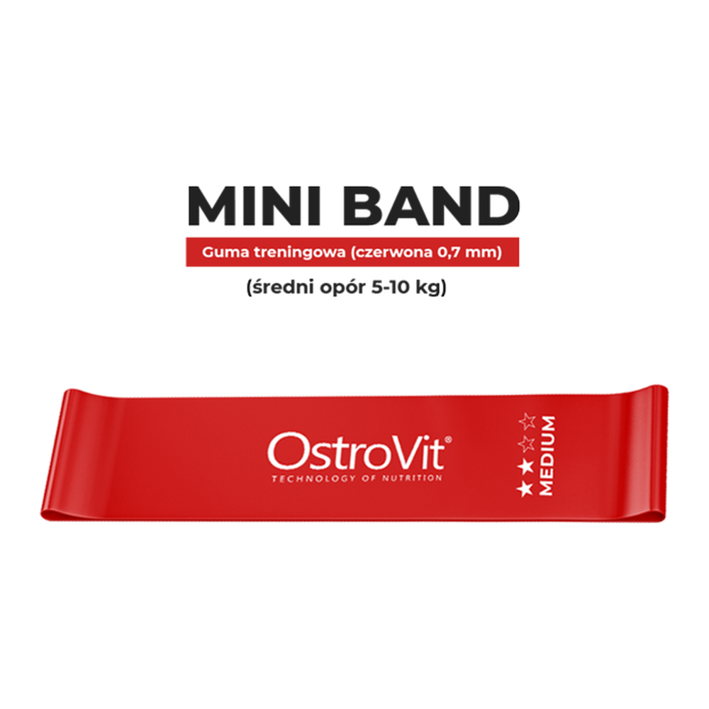 OstroVit Training Bands 4 pcs + сумка