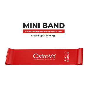 OstroVit Training Bands 4 pcs + сумка