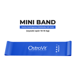 OstroVit Training Bands 4 pcs + сумка