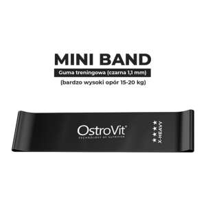 OstroVit Training Bands 4 pcs + сумка