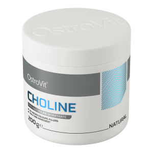 OstroVit Choline 200 g натуральний
