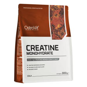 OstroVit Creatine 300 g