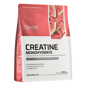 OstroVit Creatine 300 g
