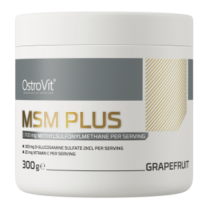 OstroVit MSM Plus 300g