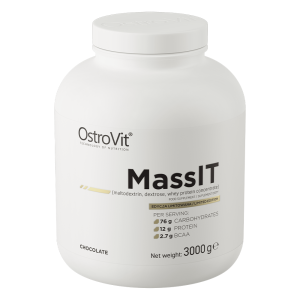 OstroVit Mass IT Limited Edition 3000 g шоколад