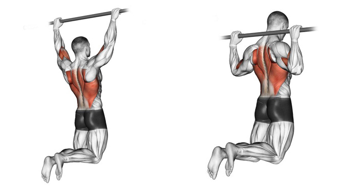 Ключові вправи для розвитку м'язів спини та плечей