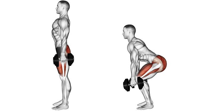 Основні функції м'язів ноги і їх роль у русі